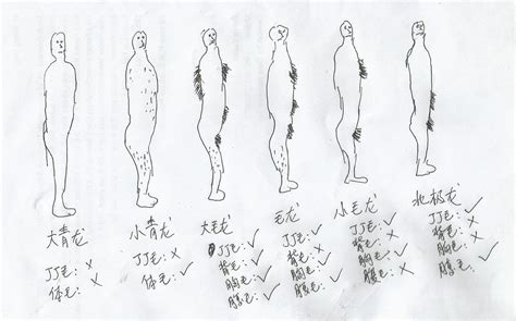 青龙男|真正的青龙男